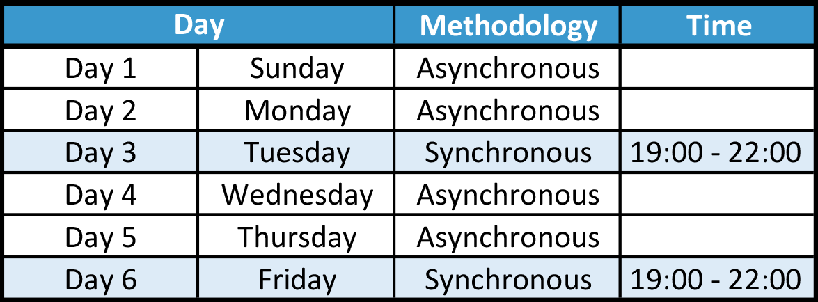 Critical Thinking Skills II (Synchronous and Asynchronous)